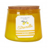 Recharge bougie citronnelle